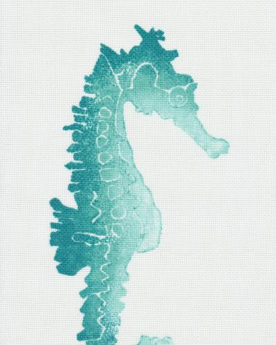 ODL Seahorse